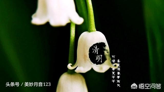 墨西哥亡灵节:外国人也祭祖吗？国外有类似清明节的节日吗？