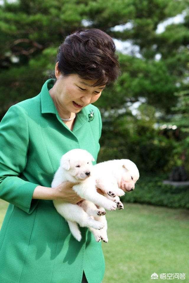 如何评价朴槿惠被判24年监禁一事？