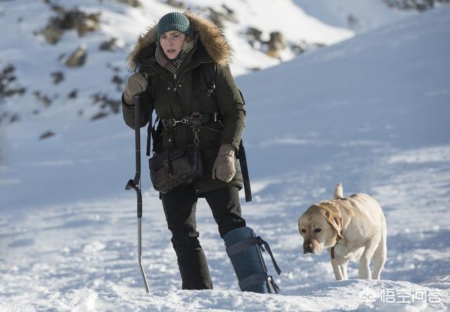 头条问答 - 如何评价灾难片《远山恋人》?(7个回答)