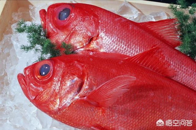头条问答 红鱼怎么做才好吃 13个回答