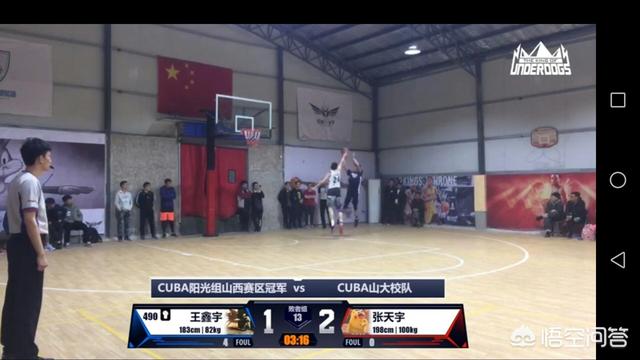 陈俊宇，打街头篮球的张天宇，实力有没有达到CBA职业球员的水准