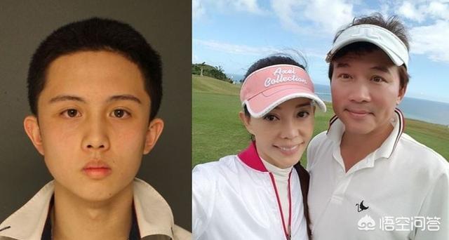 狄莺孙鹏:如何看待台湾女星狄莺和男星孙鹏之子在美国被捕？