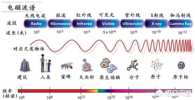 可見光作為一種特定頻段的電磁波能否被認為是由電荷的振動產生的