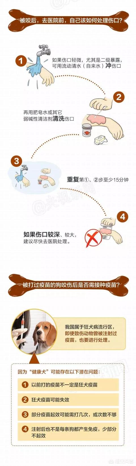 家狗的狂犬病症状:怎么看出自家狗狗有没有狂犬病？