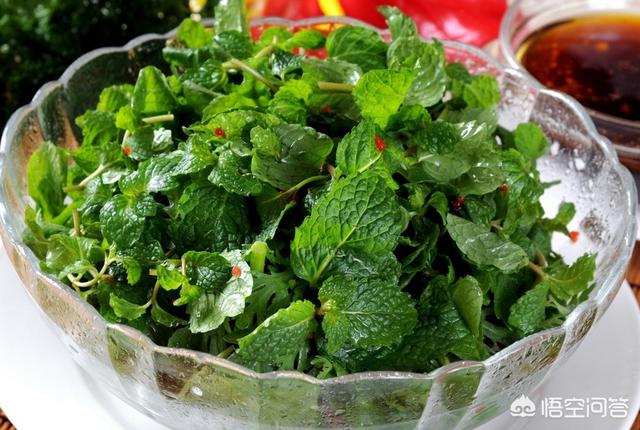 薄荷该如何种植？