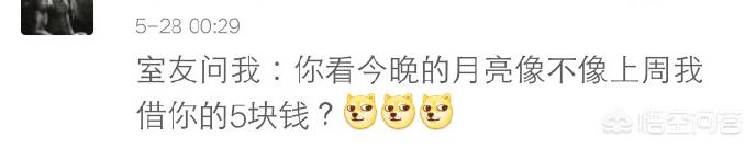 小狗罚站搞笑视频:你们的室友都发生过哪些奇葩搞笑的事？ 小狗表演的搞笑视频