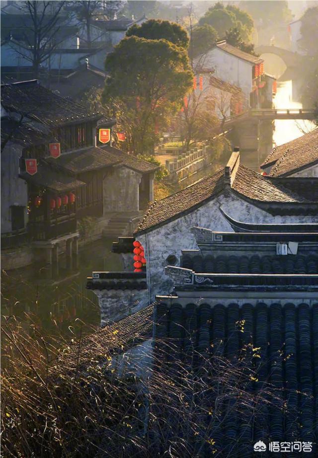 佛教说“有情众生”,然而有句老话却是“人非草木,孰能无情”,究竟草木有情还是无情？