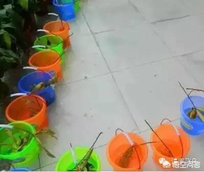泰国泼水节:泰国的泼水节要来了，何时能去呢？