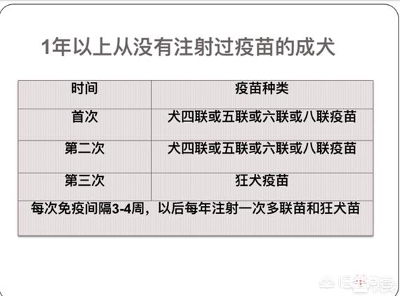 宠物资讯信息:宠物资讯信息要钱吗? 狗狗必打的疫苗有哪些，多久打一次？