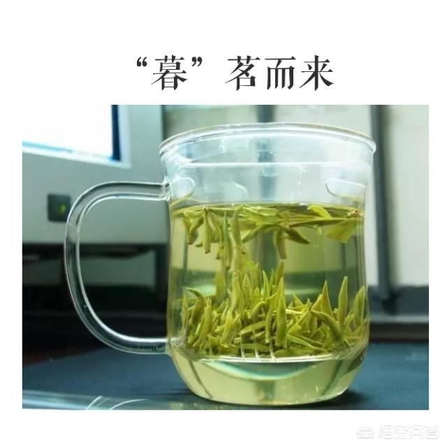 中国十大名茶有什么？真的好喝吗？