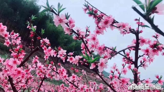 女生适合学什么技能比较好？