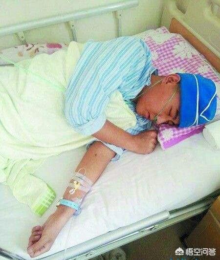 阿拉斯加犬性格脾气:养八只阿拉斯加犬是什么体验？
