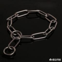东莞训犬视频:训狗的最简单动作有哪些？ 东莞训犬多少钱