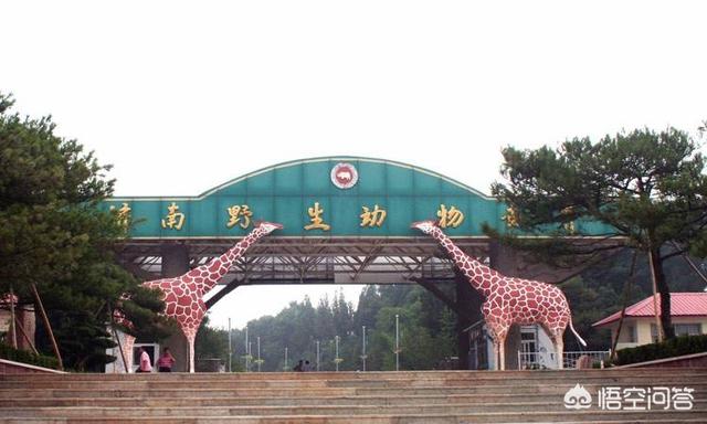 南部山区免费景点排名,济南南部山区，现在哪里最好玩？