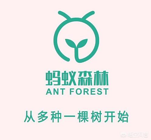 蚂蚁森林logo图标图片