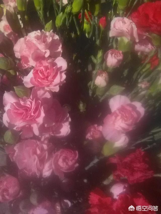 欧洲音乐之父:西方交响乐的发展史和中国古诗词的发展史有什么惊人的相似之处？