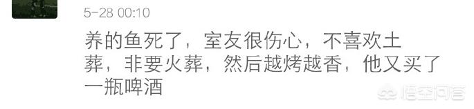 小狗罚站搞笑视频:你们的室友都发生过哪些奇葩搞笑的事？ 小狗表演的搞笑视频