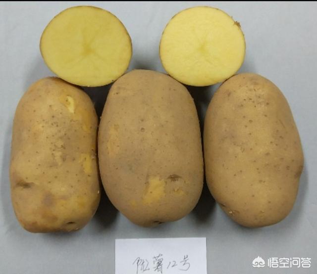 头条问答 - 陇薯12是高淀粉品种吗?(1个回答)