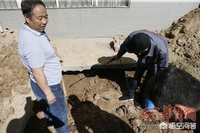 郑宏伟:如何看待西安东关南街一小区飞虫“成灾”