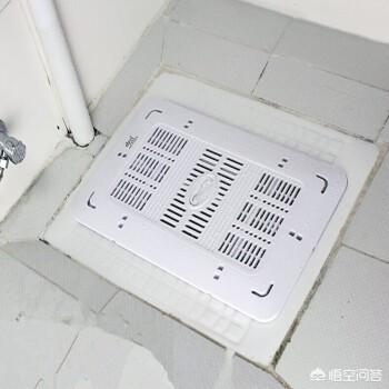一条宠物狗掉入粪坑:东西掉厕所坑里是什么体验？ 一条宠物狗掉粪坑一家四口