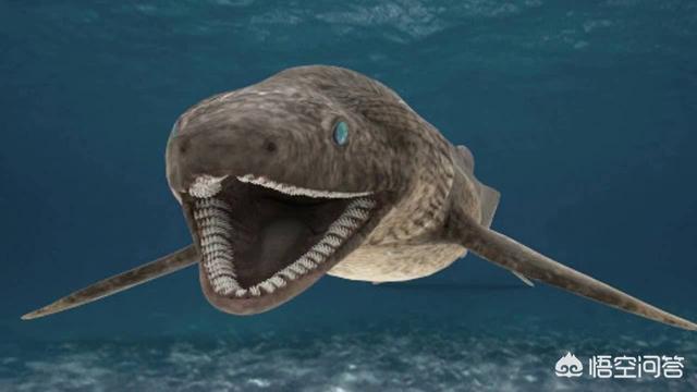 14大恐怖生物，深海中有哪些令人感到恐惧的生物