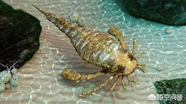14大恐怖生物，深海中有哪些令人感到恐惧的生物