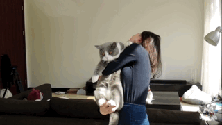 小萌猫红小胖:养一个胖猫是一种怎样的体验？