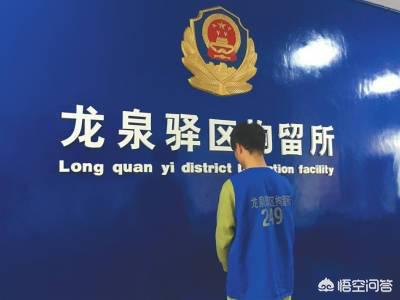 摔死柯基的何兴丽 黑料:为何四川成都何女士摔死宠物狗引起广大网友的愤怒？