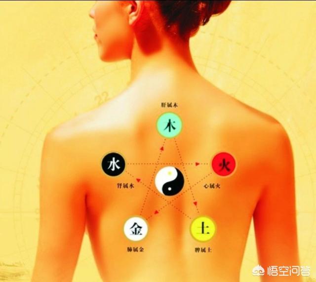 五行土对应的器官,五脏、五味和五志的关系是什么？