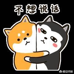 如何看待那些心机婊？
