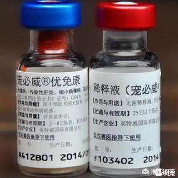 宠物消毒剂多久用一次:猫砂要不要定期全部更换？