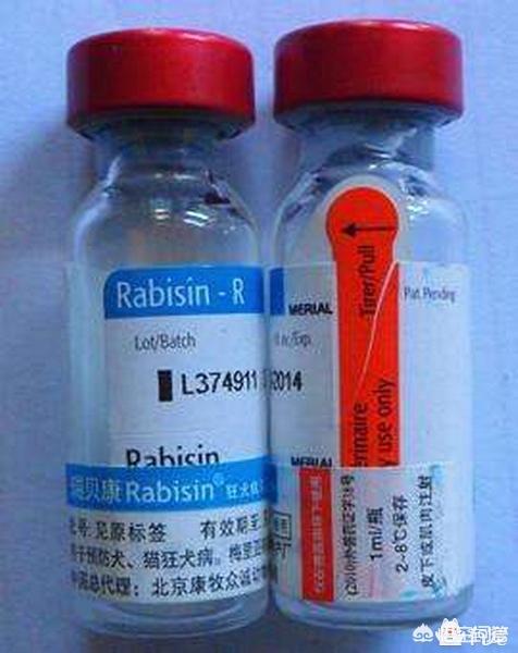 宠物消毒剂多久用一次:猫砂要不要定期全部更换？