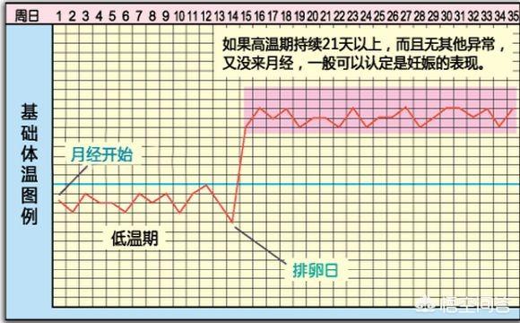 排卵期和排卵日是一样吗 米米教书育人的回答 悟空问答