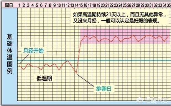 排卵期和排卵日是一样吗 米米教书育人的回答 悟空问答