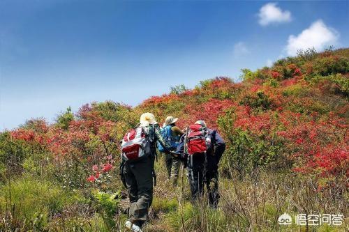 得了冠心病能出去旅游吗?插图13 得了冠心病能出去旅游吗?插图13