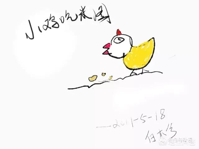 什么软件可以画动漫？