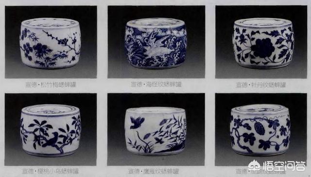 蟋蟀的图片:养蟋蟀可不可以不要土？有哪些注意事项？