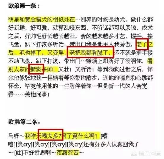 离开湖南卫视后的欧弟现在发展怎样了