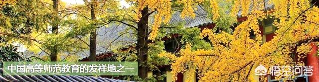 魏特琳:歌剧“拉贝日记”演出资料入藏江东门纪念馆, 你怎么看