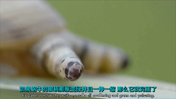 有哪些让人细思极恐的图片？