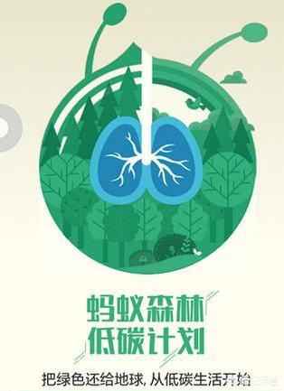 支付宝你的蚂蚁森林如何快速获取能量？