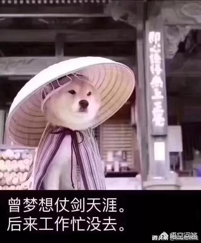 2018淘宝客如何推广？如何吸粉、留存并转化？