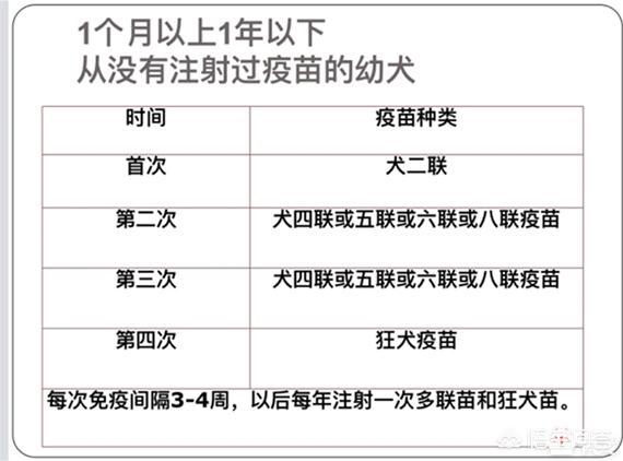 头条问答 狗狗必打的疫苗有哪些 多久打一次 好狗狗养成记的回答 0赞