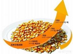 进入五月份后，玉米的价格还有上涨的可能吗？