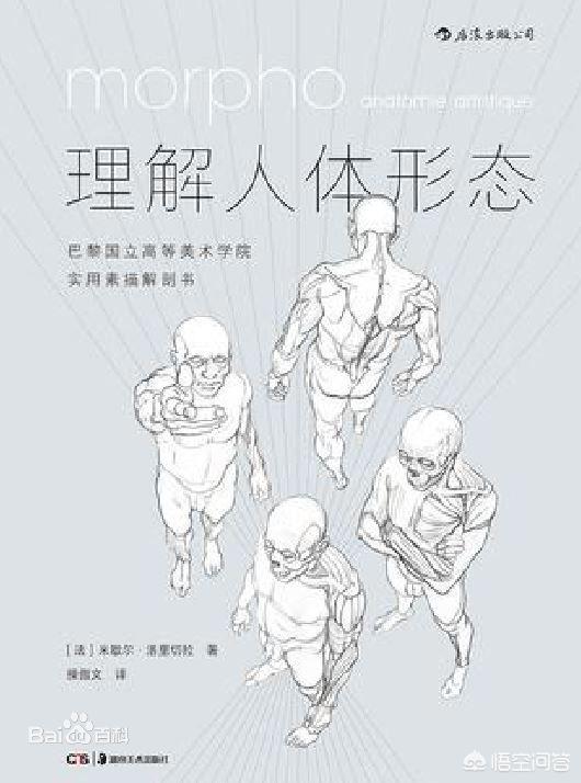 腹肌怎么画,怎么画动漫男生腹肌？简单的？