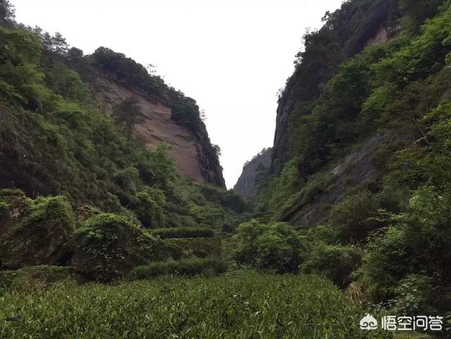 奶妈贵宾网真假:土豪们有哪些低调操作深深刺痛过你？