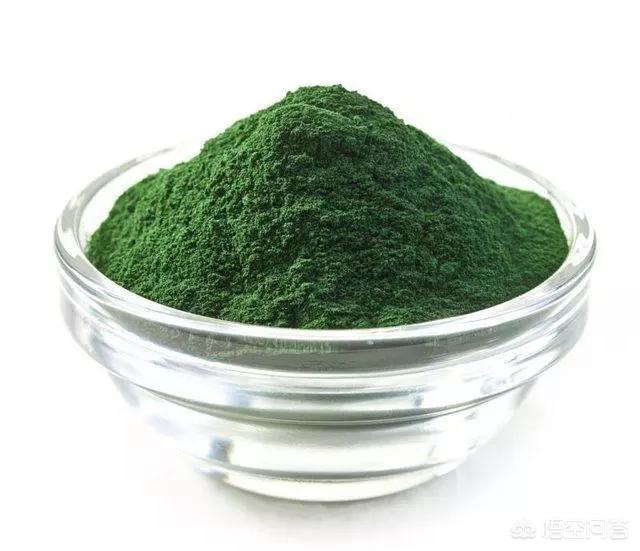 哪个牌子的小球藻比较好？