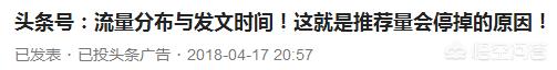 自媒体小白必学视频(自媒体教学博主们，希望实事求是点，不要误导小白乐趣?)