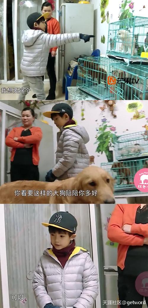 董洁牵手儿子现身:马雅舒、董洁应该参加亲子节目吗？