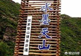 乌鲁木齐宠物狗交易市场:乌市第二次隔离，宠物市场怎么做的？如此多的宠物，难道全饿死？